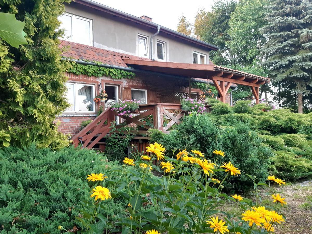 Villa Dziki Brzeg Jezioraka Zalewo  Esterno foto