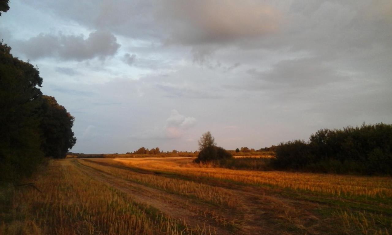 Villa Dziki Brzeg Jezioraka Zalewo  Esterno foto