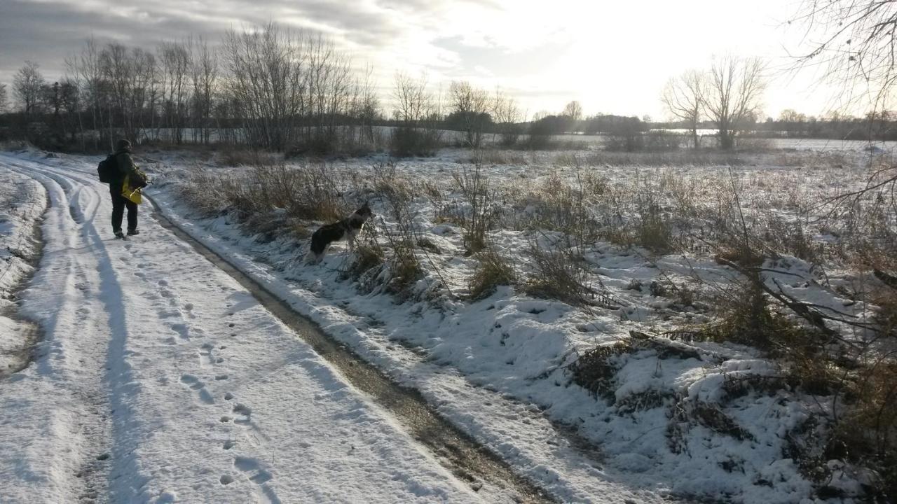 Villa Dziki Brzeg Jezioraka Zalewo  Esterno foto