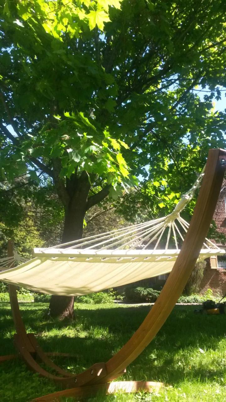 Villa Dziki Brzeg Jezioraka Zalewo  Esterno foto